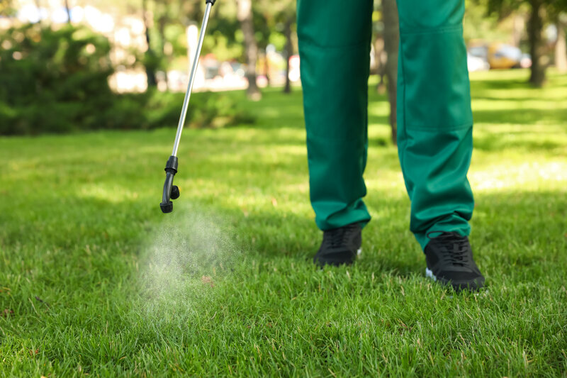lawn pest control Services Lawn Care Company Near Me